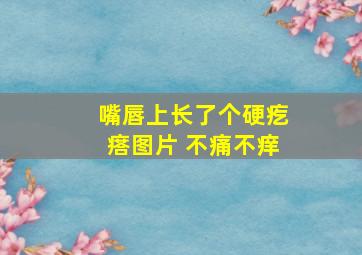 嘴唇上长了个硬疙瘩图片 不痛不痒